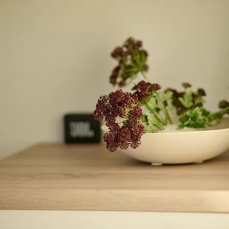 Charmantes In - Perfekt Fuer Aktive & Geniesser Bregenz